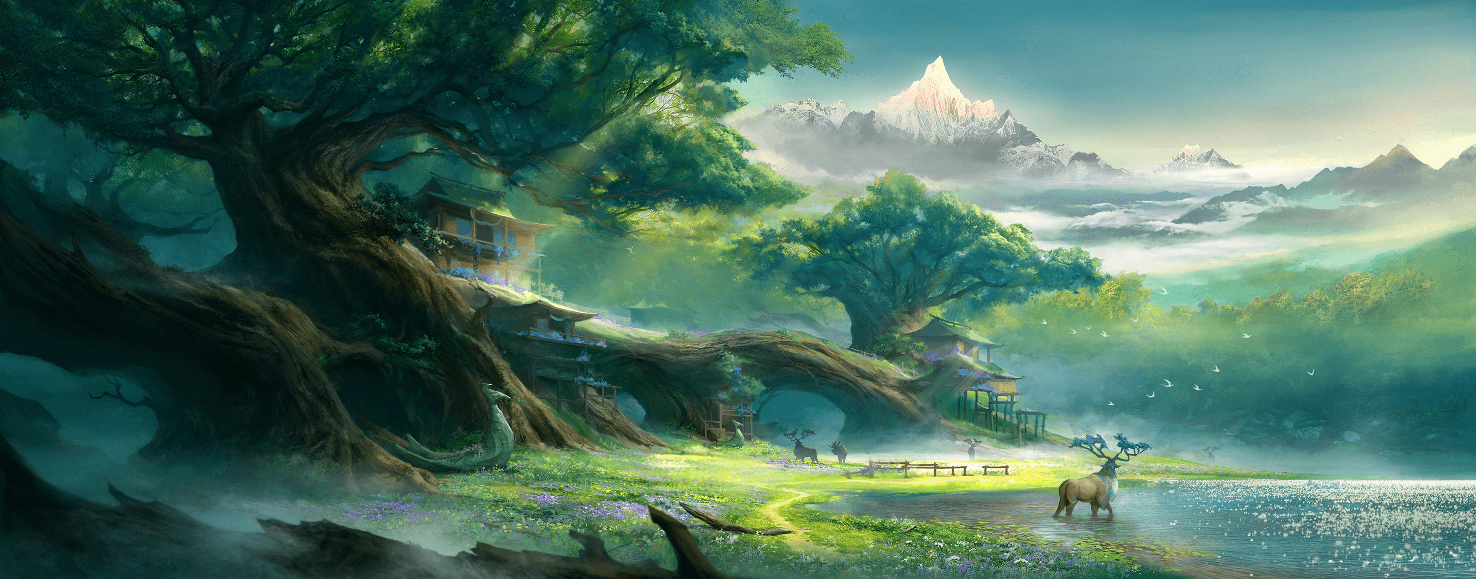 Contact Background
